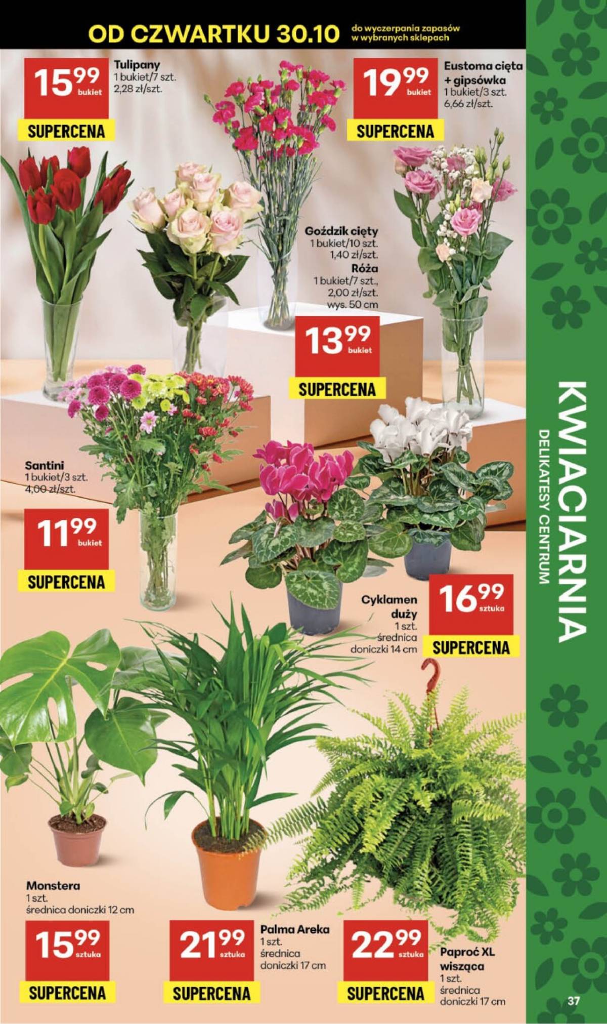 Delikatesy Centrum - Franczyza DC44 Czwartek 37 puslapis