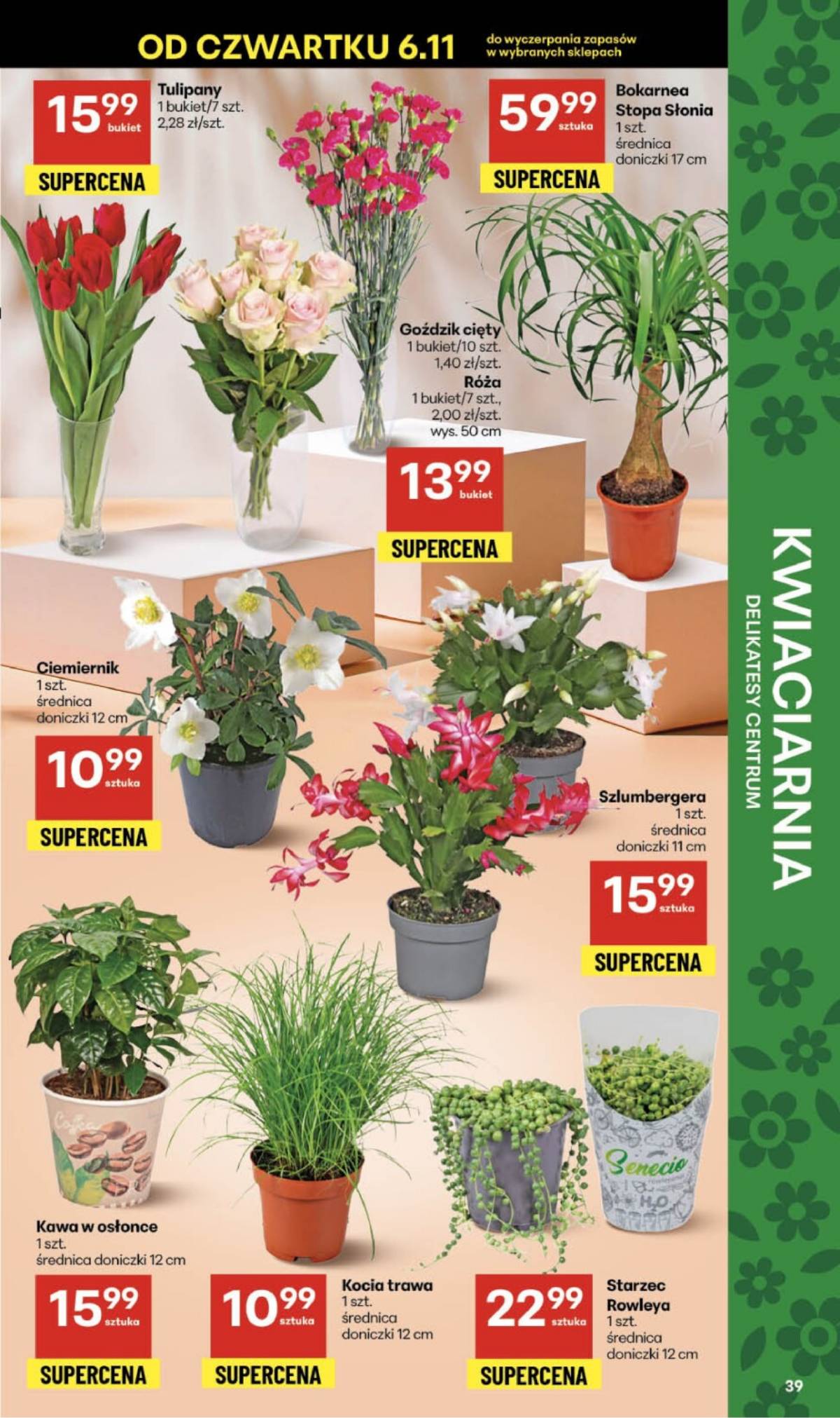 Delikatesy Centrum - Franczyza DC45 Czwartek 39 puslapis