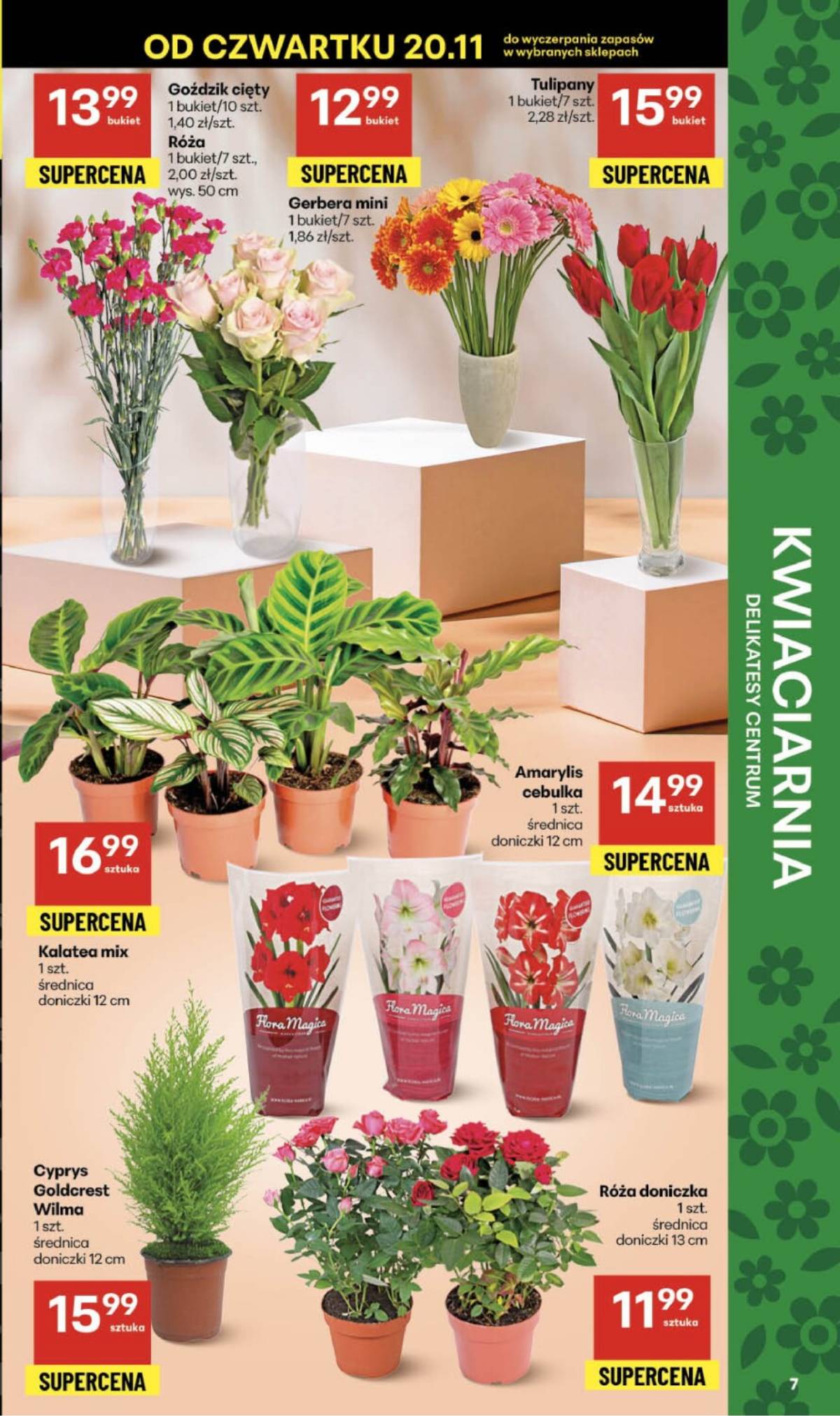 Delikatesy Centrum - Franczyza DC47 Czwartek 7 puslapis