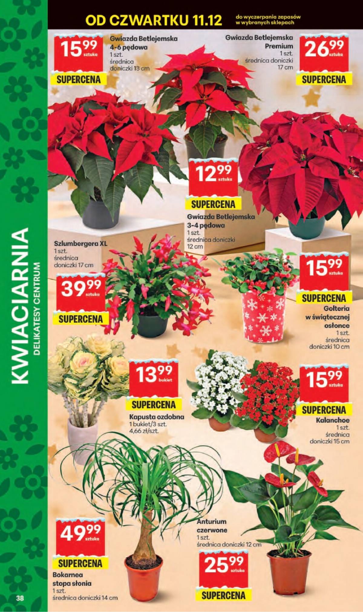 Delikatesy Centrum - Franczyza DC50 Czwartek 38 puslapis