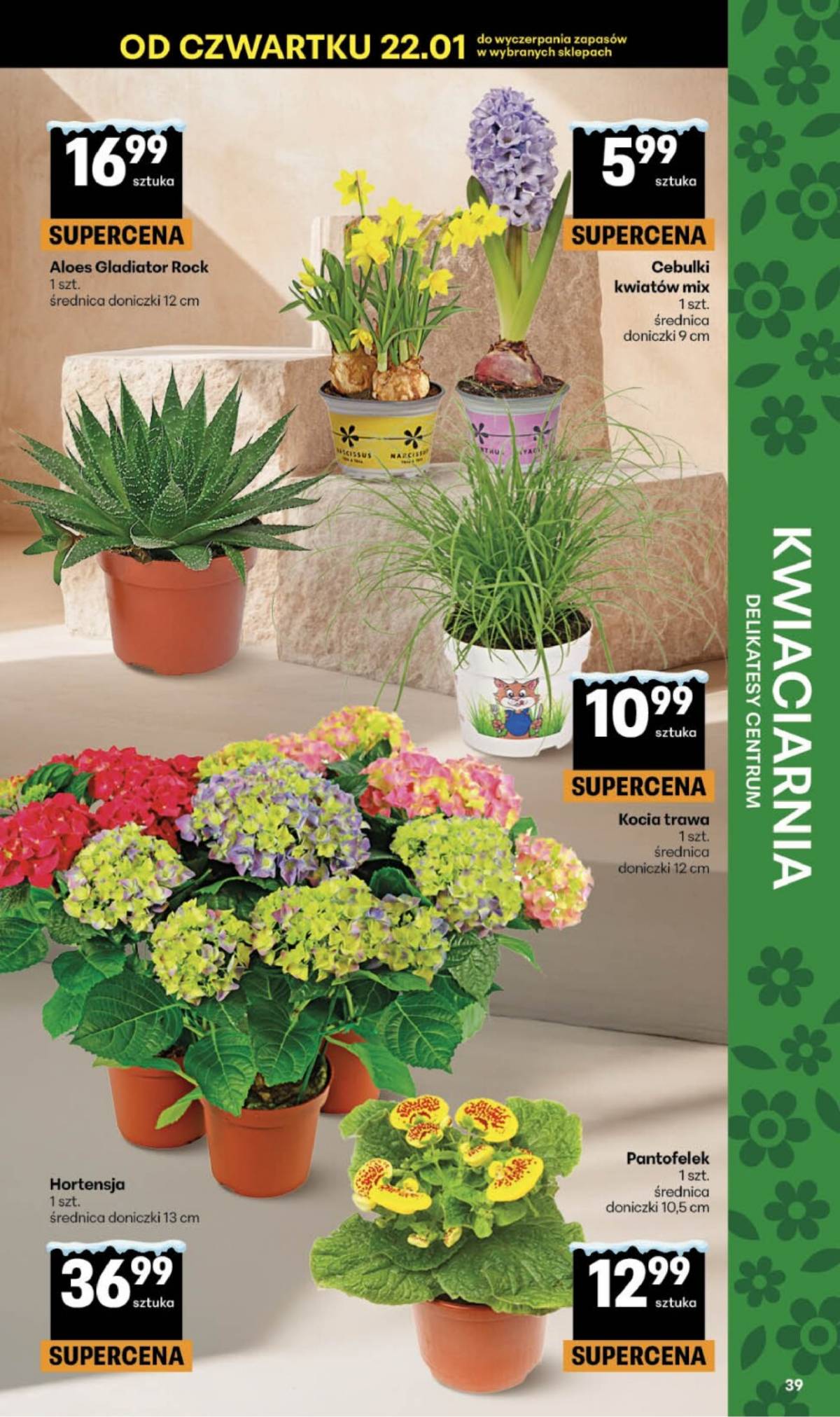 Delikatesy Centrum - Franczyza DC04 Czwartek 39 puslapis