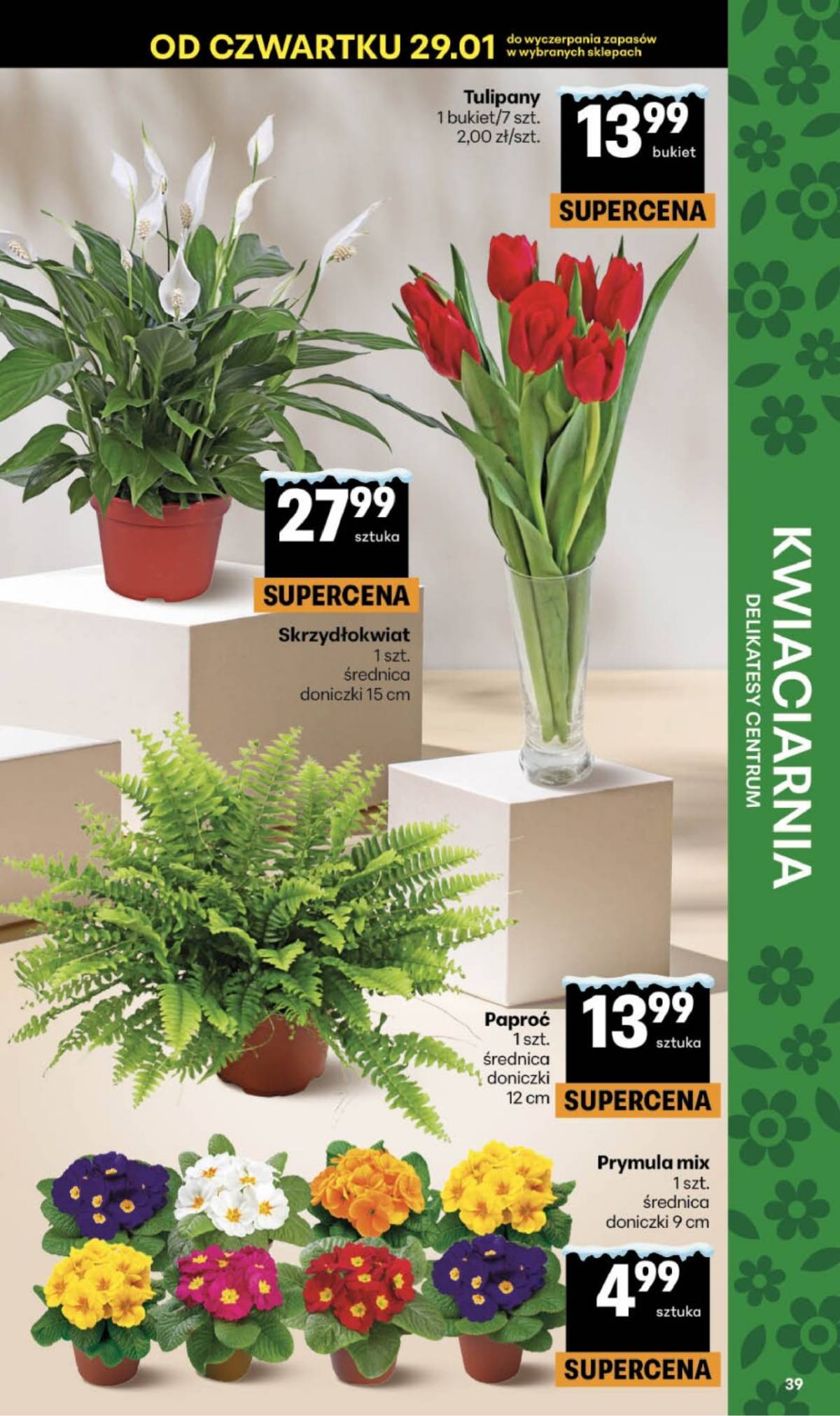 Delikatesy Centrum - Franczyza DC05 Czwartek 39 puslapis