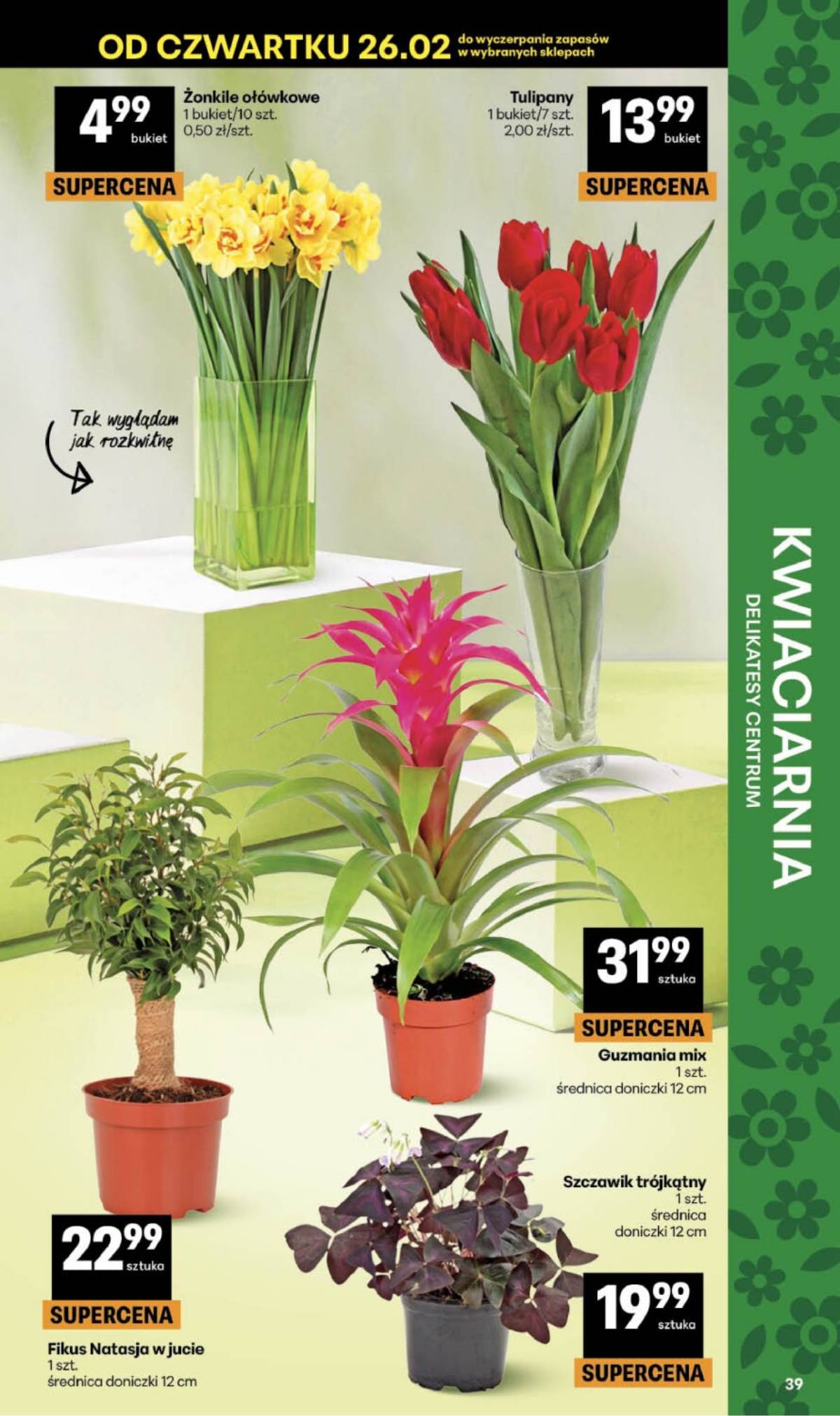 Delikatesy Centrum - Franczyza DC09 Czwartek 39 puslapis