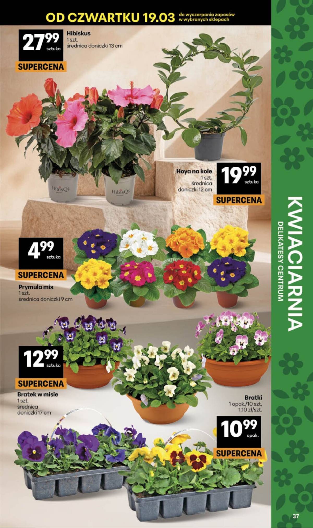 Delikatesy Centrum - Franczyza DC12 Czwartek 37 puslapis