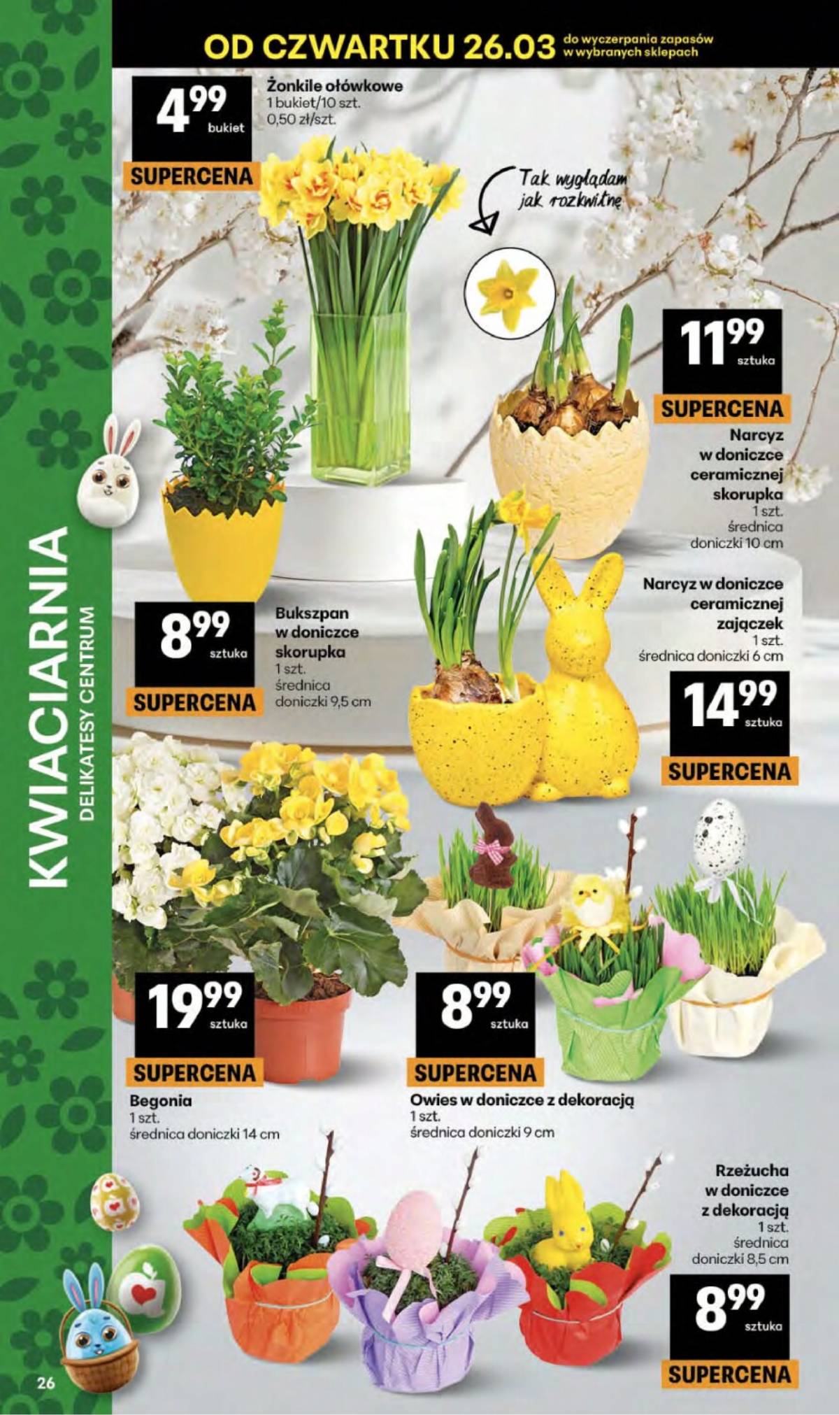 Delikatesy Centrum - Franczyza DC13 Czwartek 26 puslapis