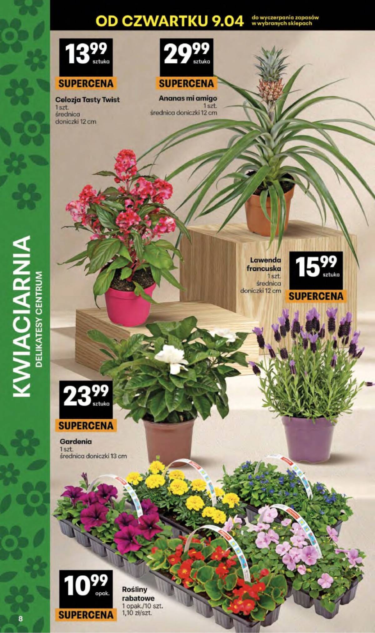 Delikatesy Centrum - Franczyza DC15 Czwartek 8 puslapis