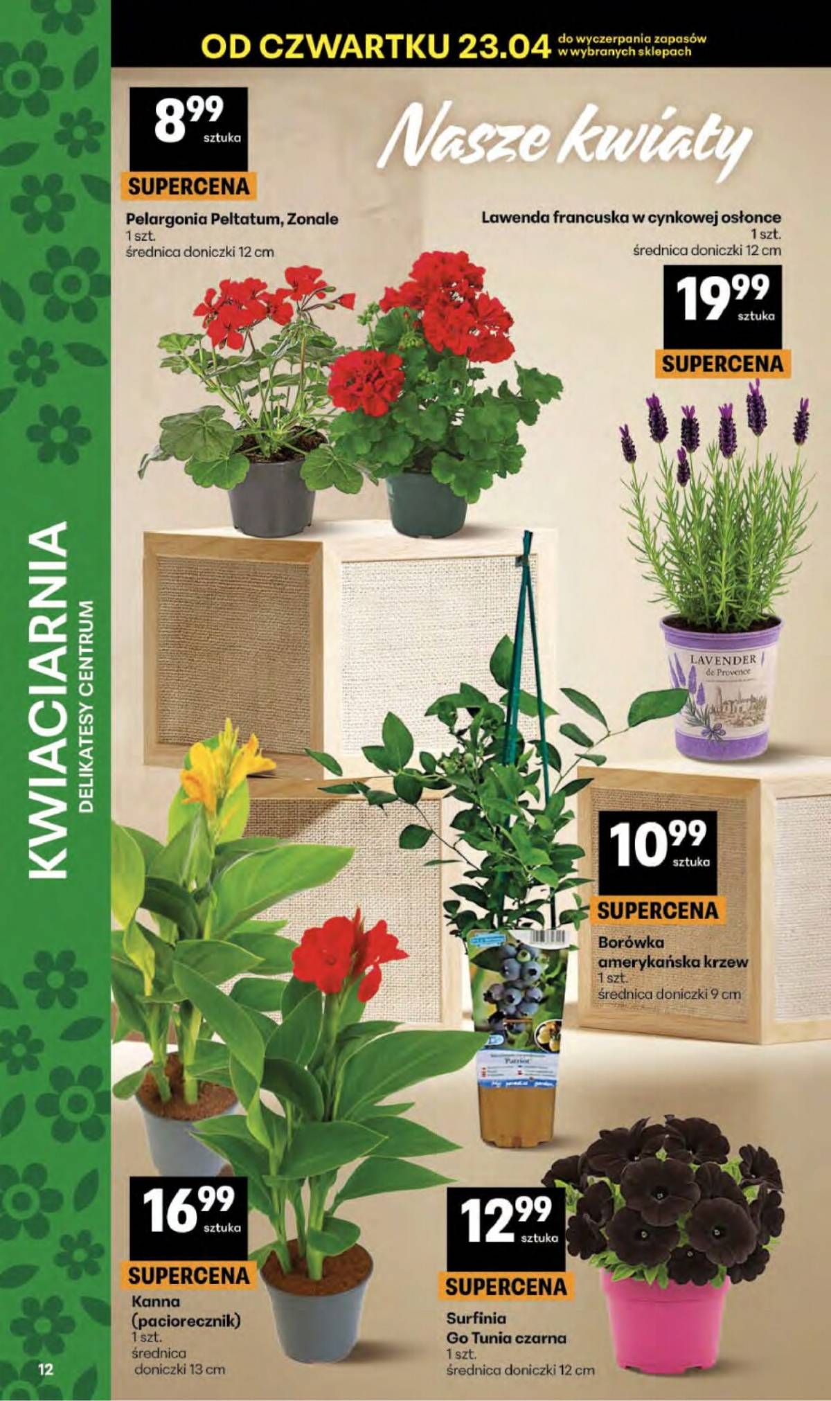 Delikatesy Centrum - Franczyza DC17 Czwartek 12 puslapis