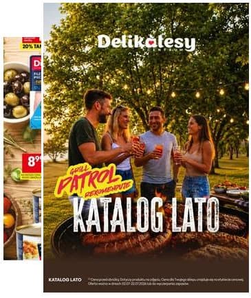 Delikatesy Centrum - Katalog Lato DC27-DC28-DC29 2026-07-02 – 2026-07-22