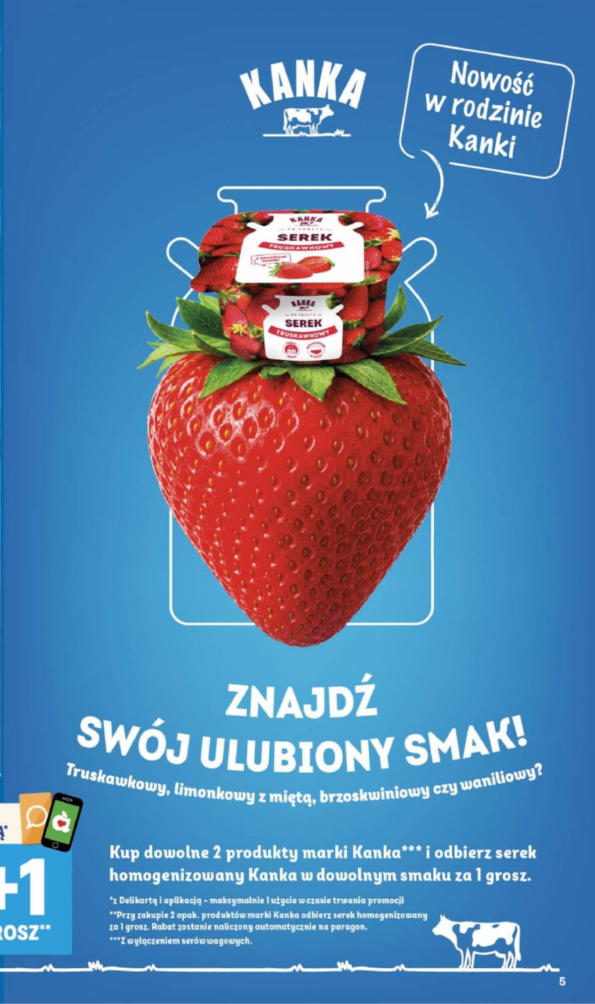 Delikatesy Centrum - Franczyza DC33 Czwartek 5 puslapis