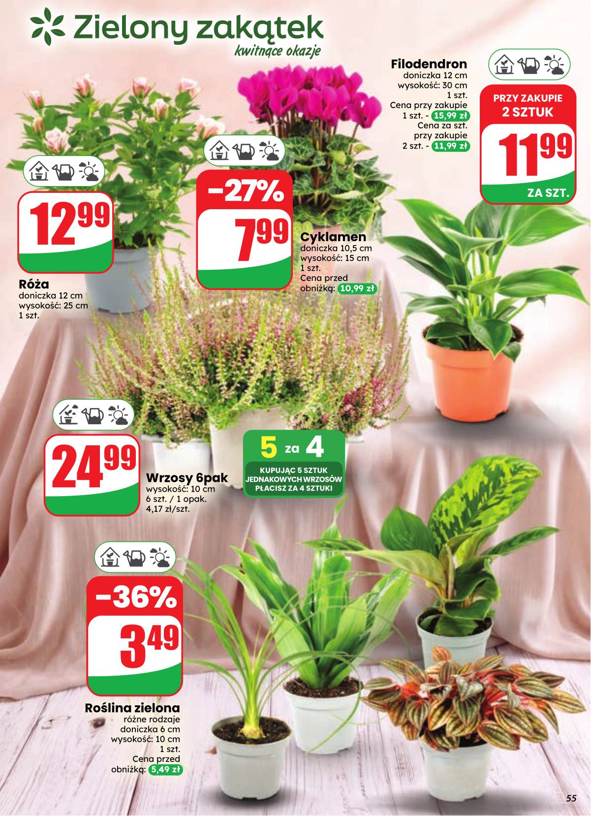 Dino - Dino akcijų leidinys 55 puslapis
