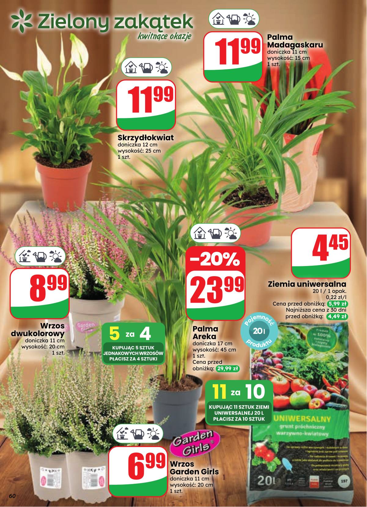 Dino - Dino akcijų leidinys 60 puslapis