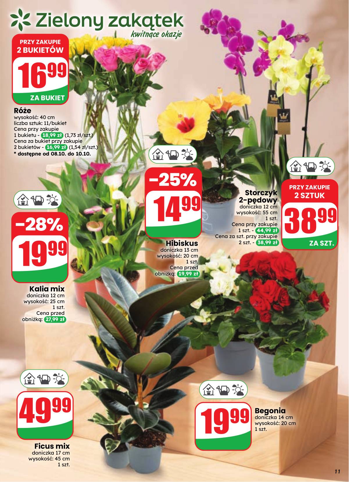 Dino - Dino akcijų leidinys 11 puslapis