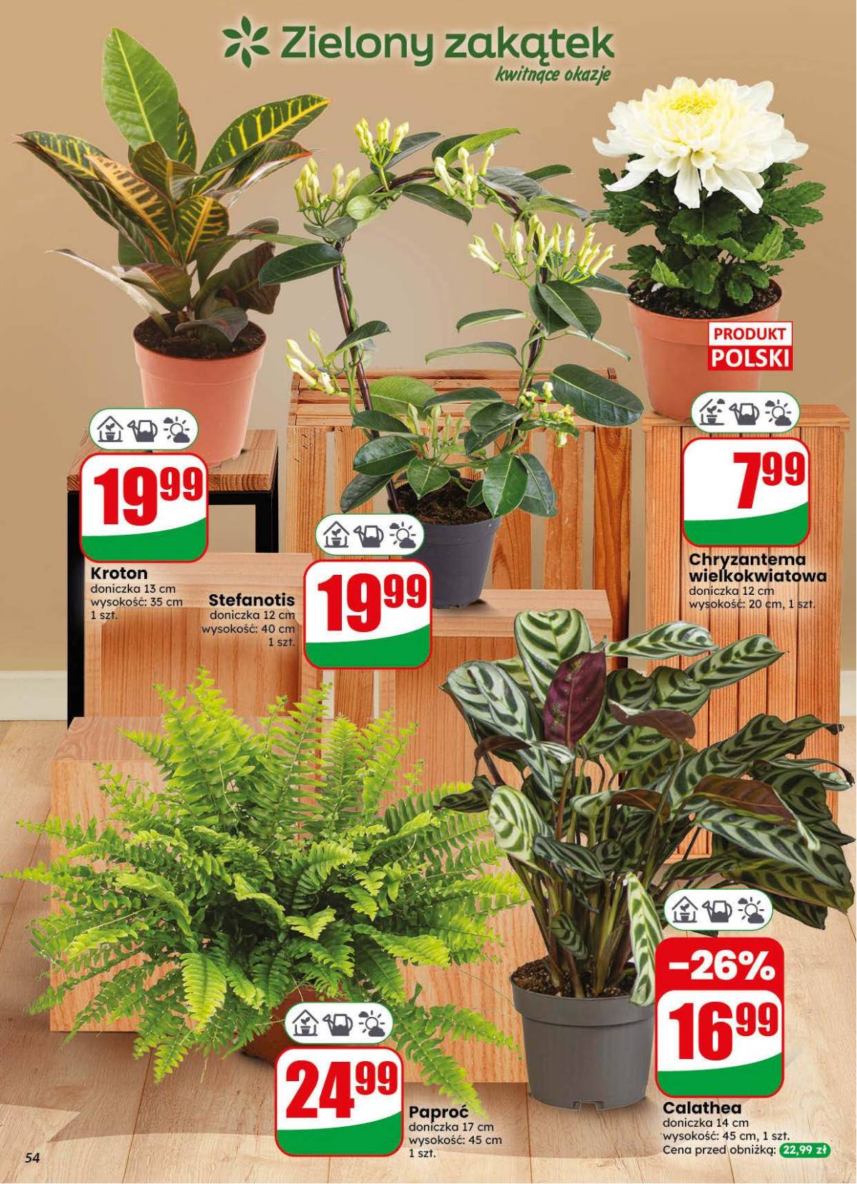 Dino - Dino akcijų leidinys 54 puslapis