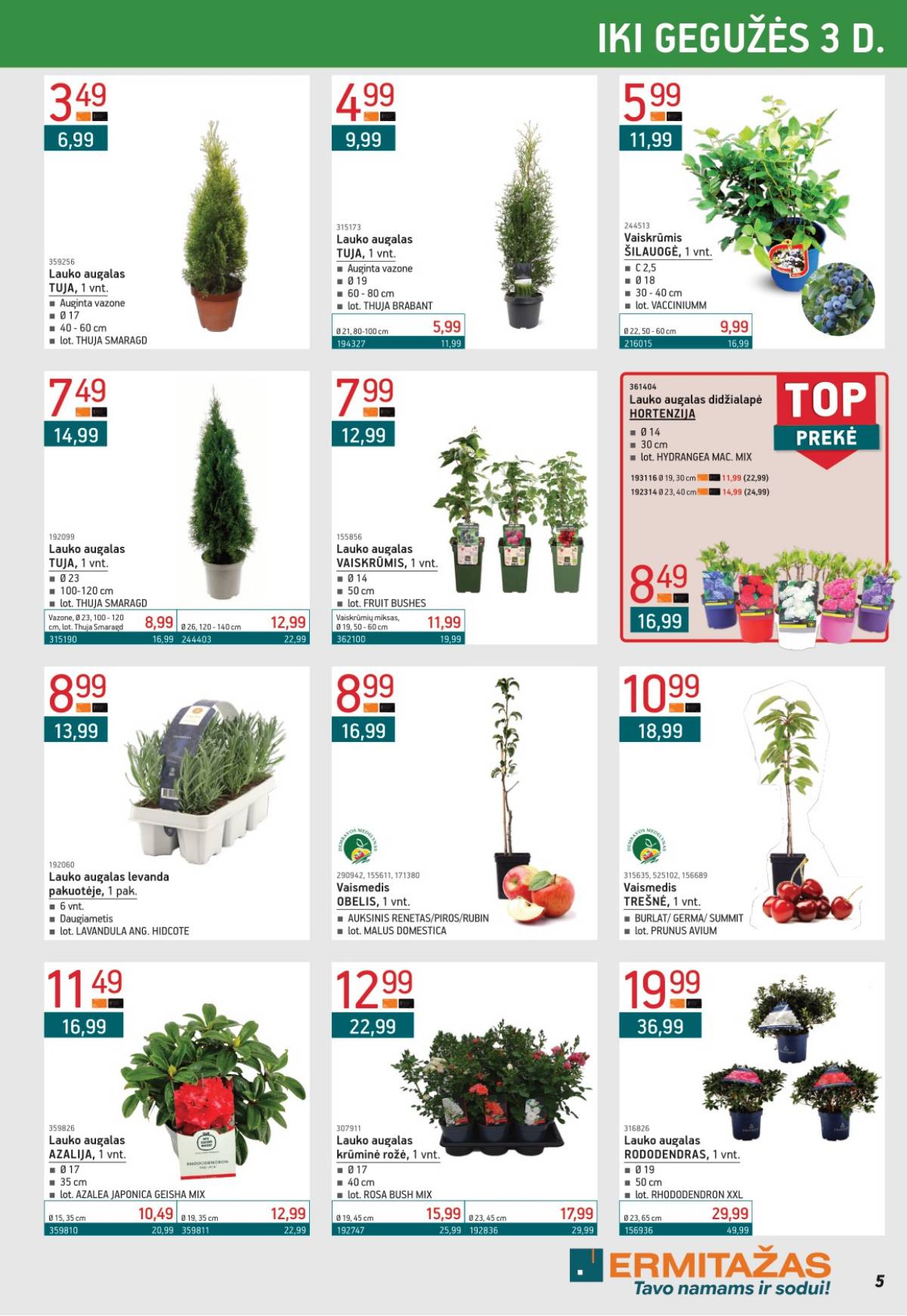 Ermitažas - Ermitažas akcijų leidinys | 2026-04-01 - 2026-05-03 4 puslapis