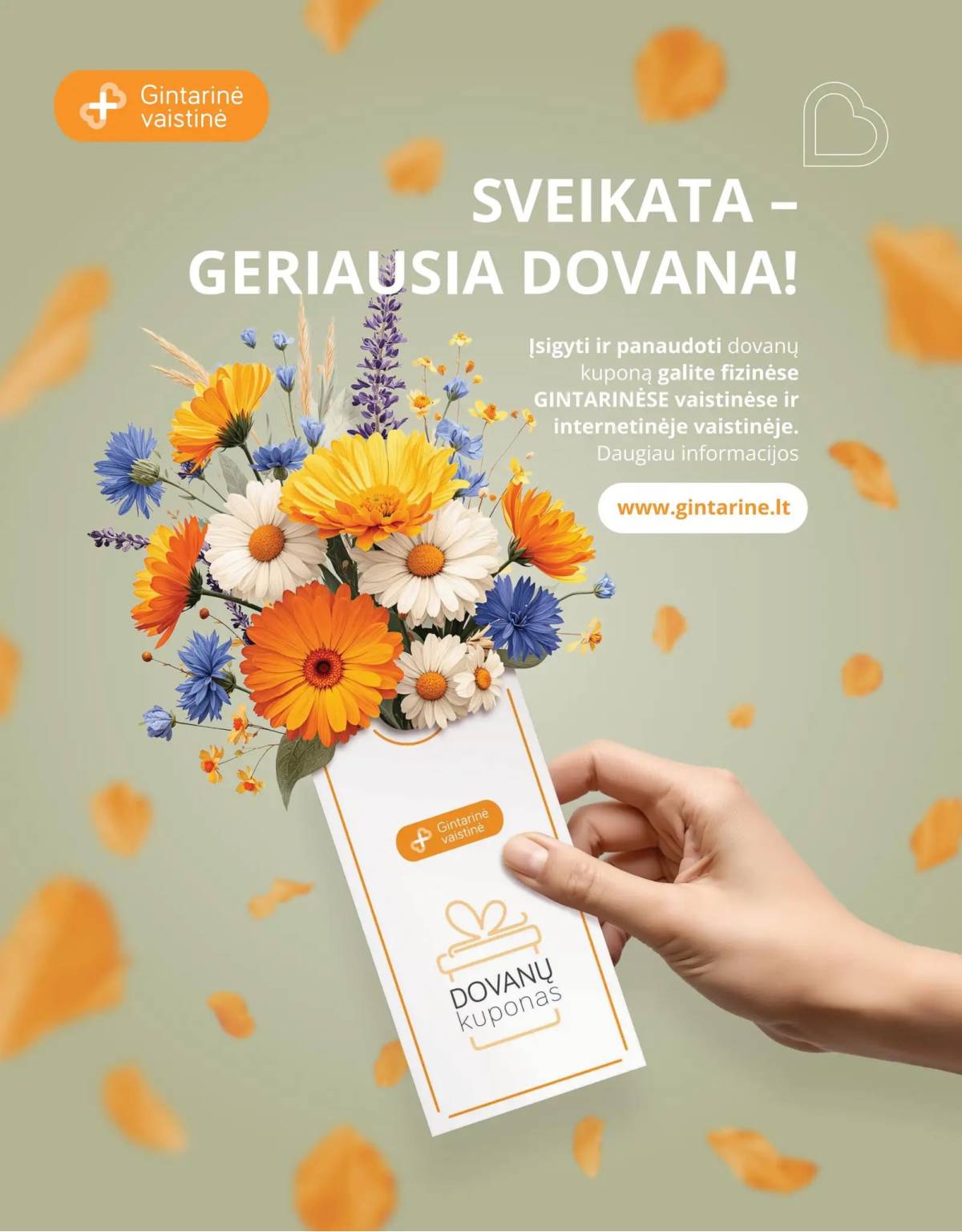 Gintarinė vaistinė - GINTARINĖ vaistinė rugpjūčio mėn. akcijų leidinys | 2026-08-01 - 2026-08-31 23 puslapis