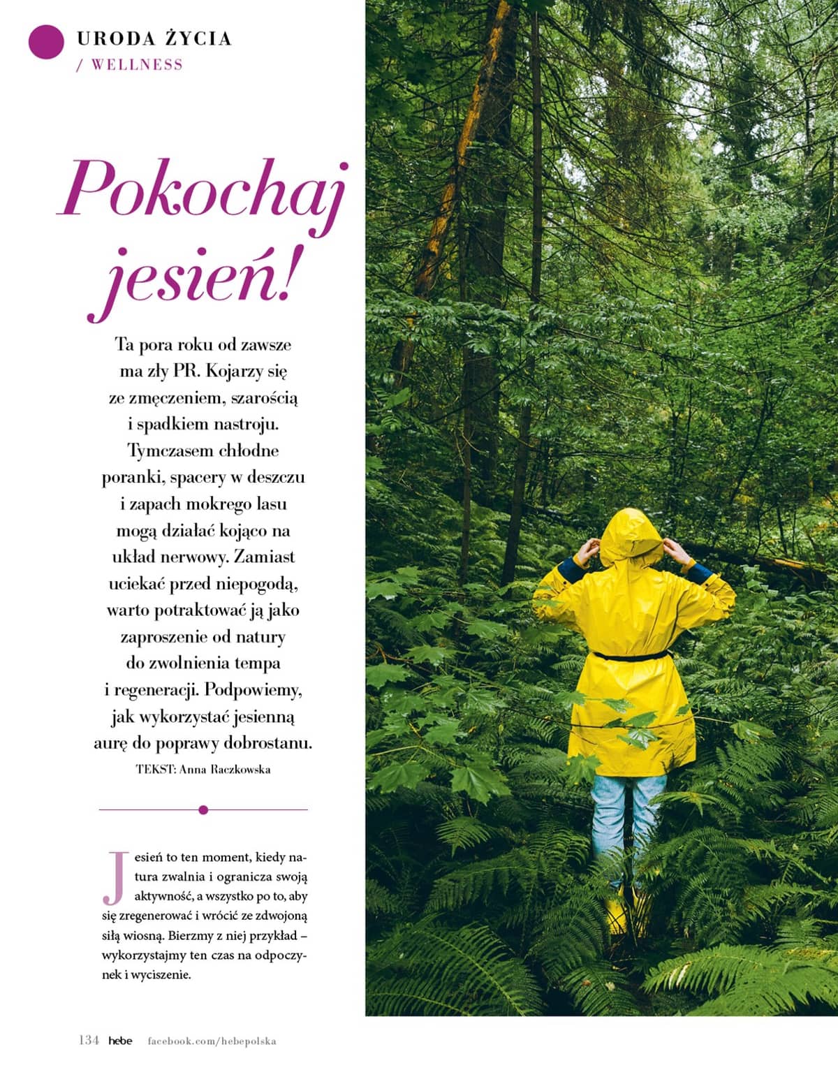Hebe - Hebe sezoninis katalogas 134 puslapis