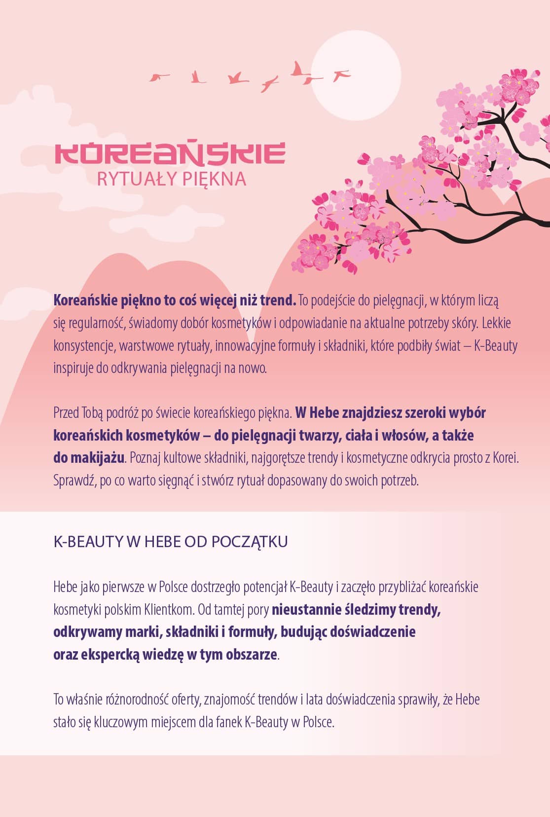 Hebe - Hebe akcijų leidinys 3 3 puslapis