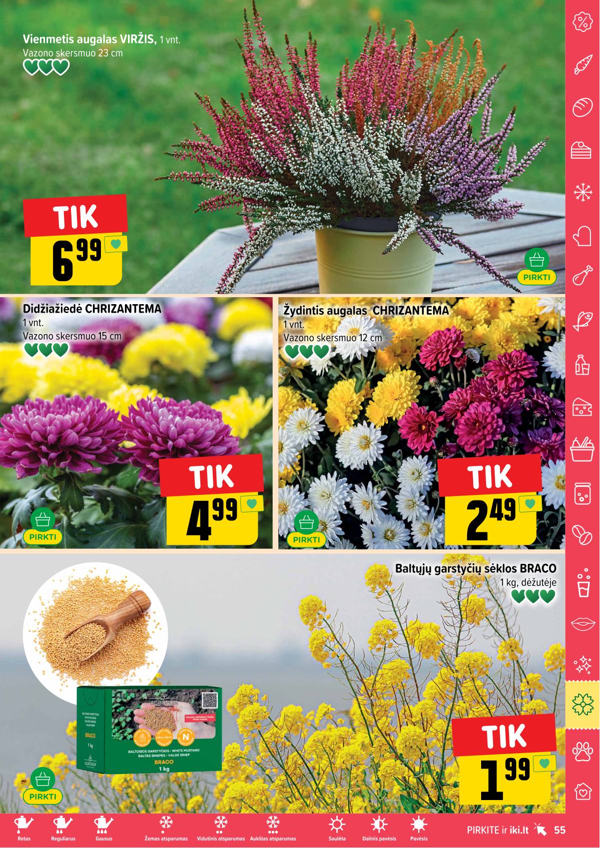 Iki - IKI savaitinis akcijų leidinys „Gyvūnų fiesta" 55 puslapis