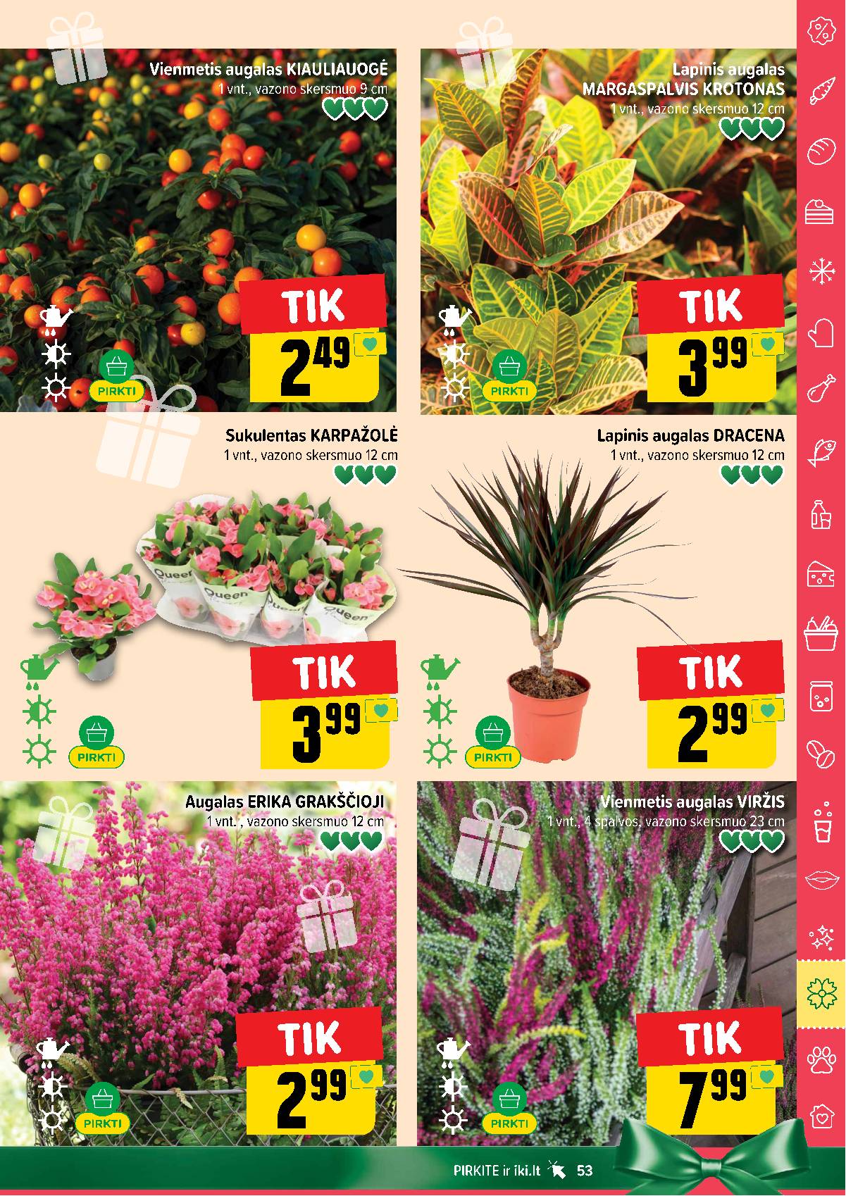 Iki - IKI savaitinis akcijų leidinys „Šaltuko fiesta" 53 puslapis