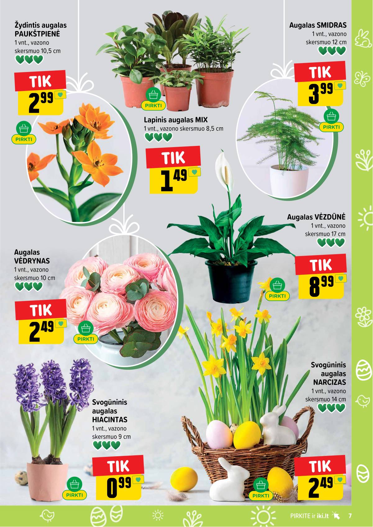 Iki - IKI akcijų leidinys 7 puslapis