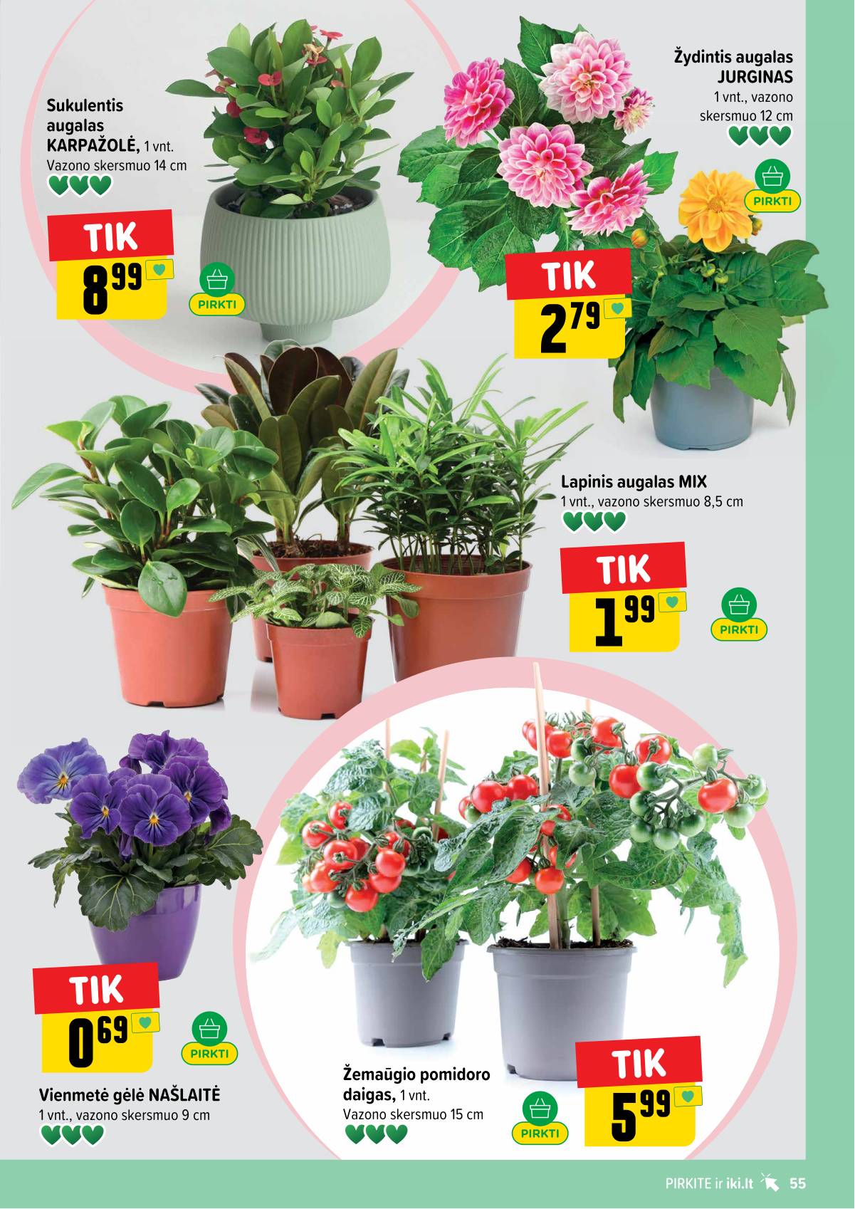 Iki - IKI akcijų leidinys 55 puslapis