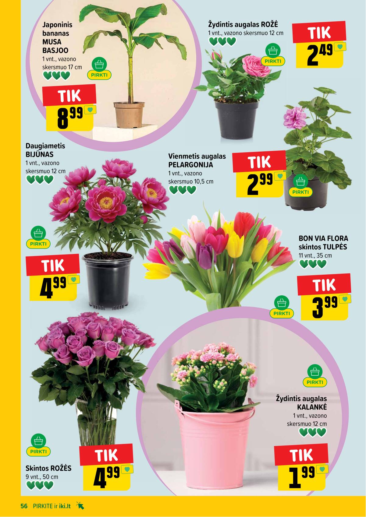 Iki - IKI akcijų leidinys 56 puslapis