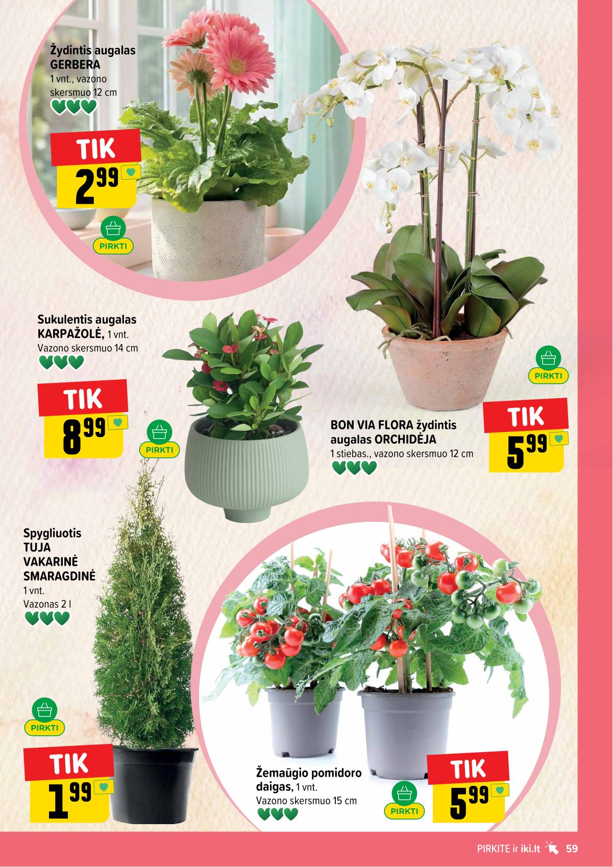 Iki - IKI akcijų leidinys 59 puslapis