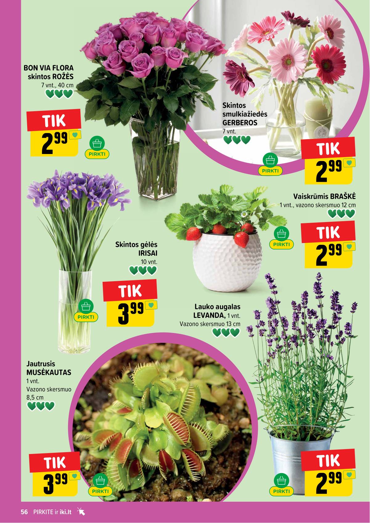 Iki - IKI akcijų leidinys 56 puslapis