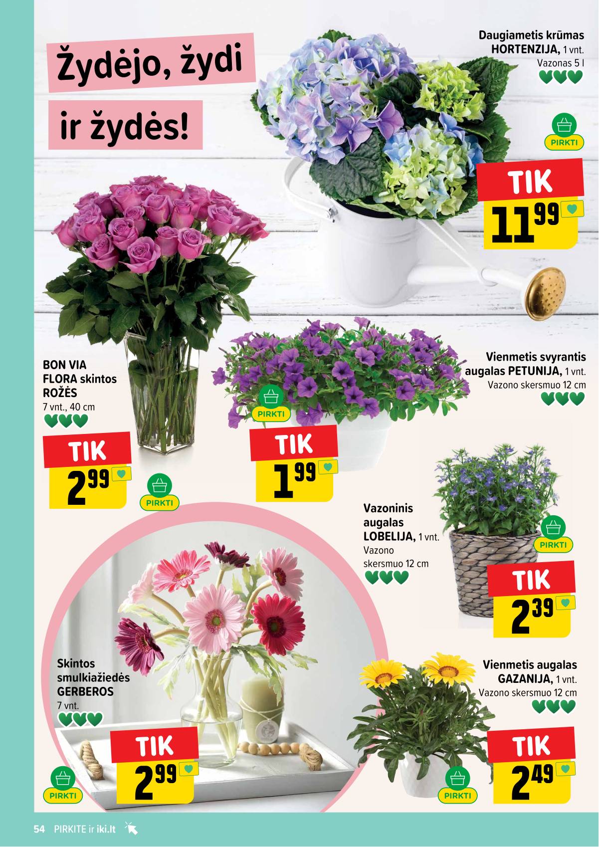 Iki - IKI akcijų leidinys 54 puslapis