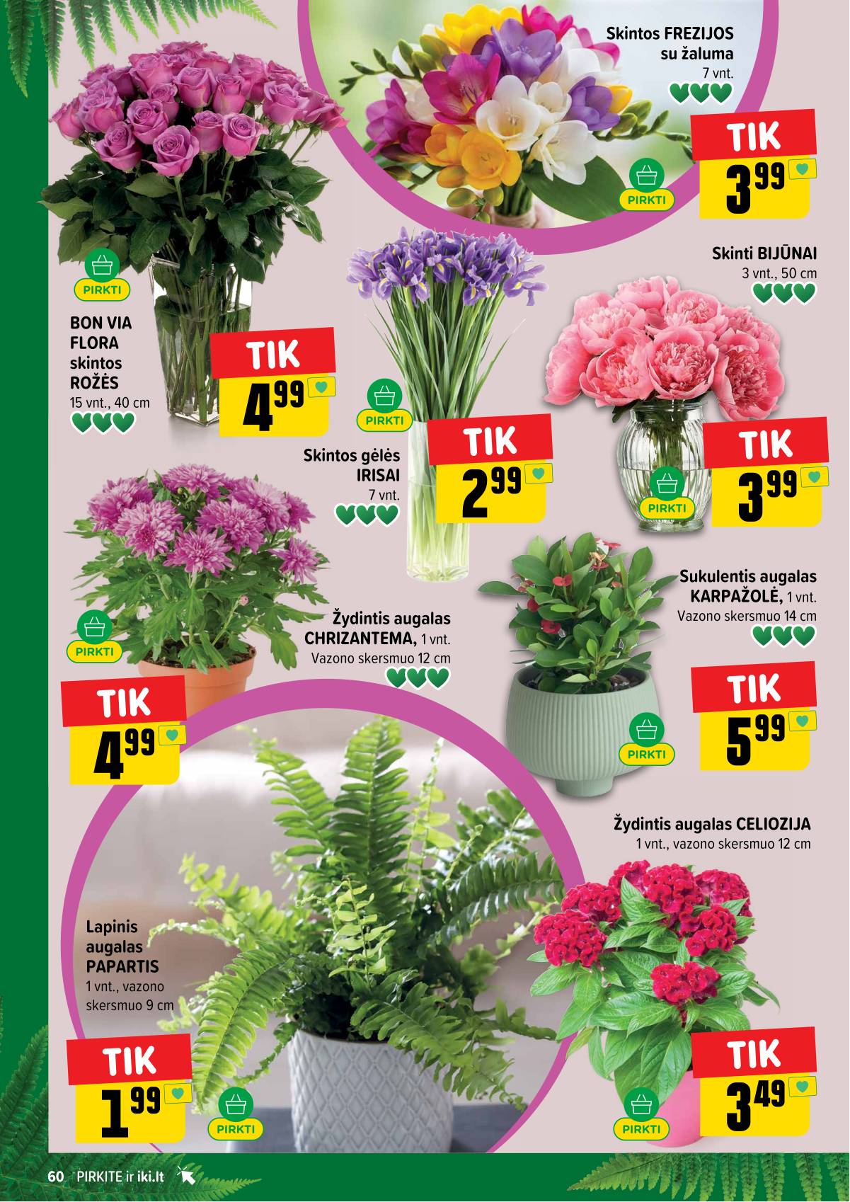 Iki - IKI akcijų leidinys 60 puslapis