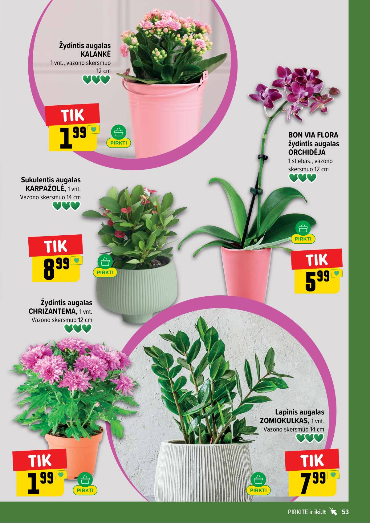 Iki - IKI akcijų leidinys 53 puslapis