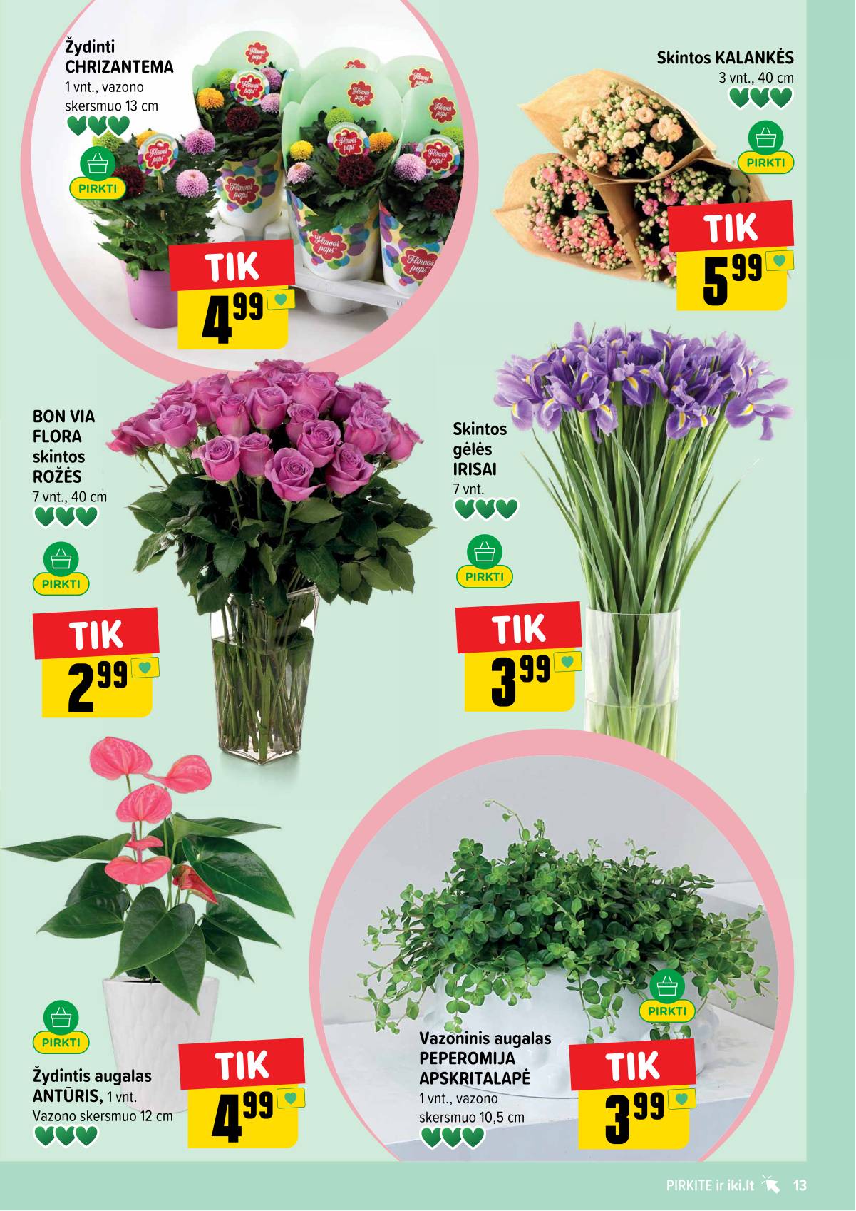 Iki - IKI akcijų leidinys 13 puslapis