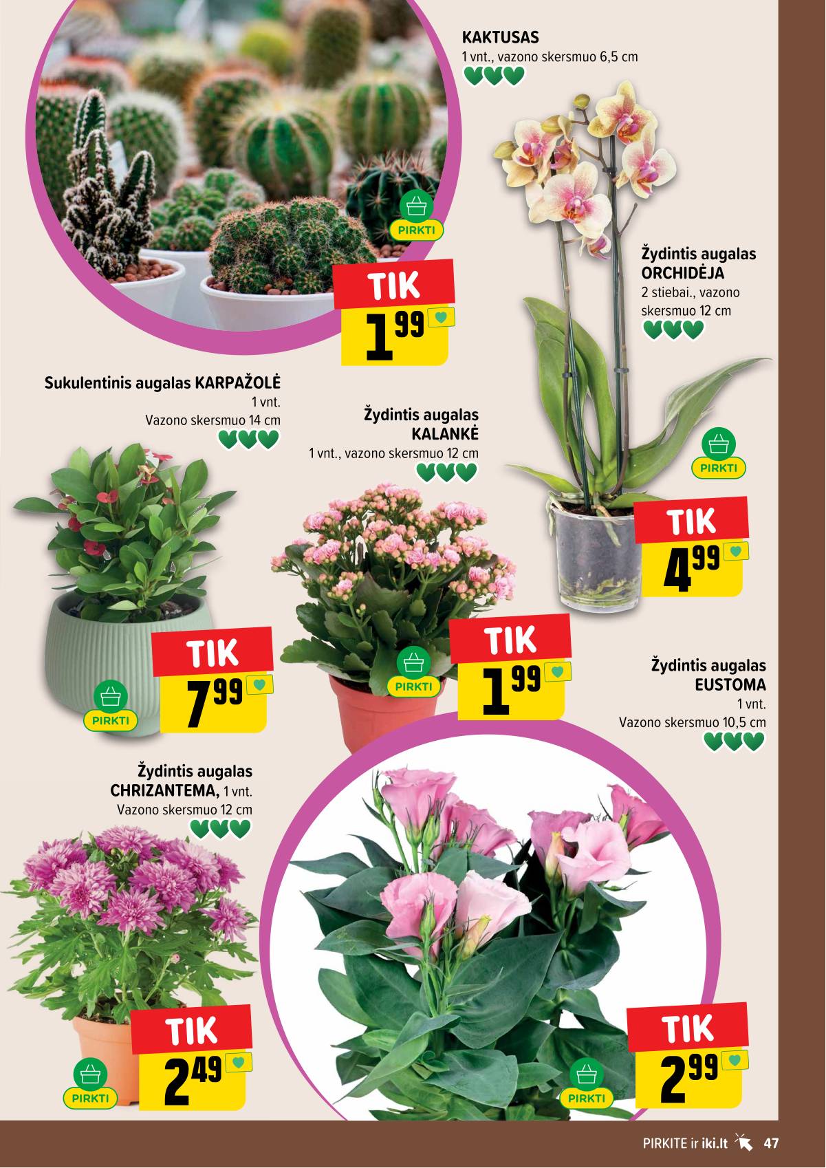 Iki - IKI akcijų leidinys 47 puslapis