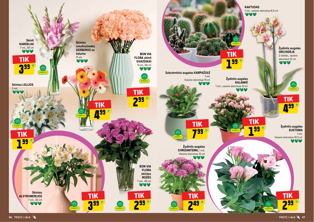 Iki - IKI akcijų leidinys 24 puslapis