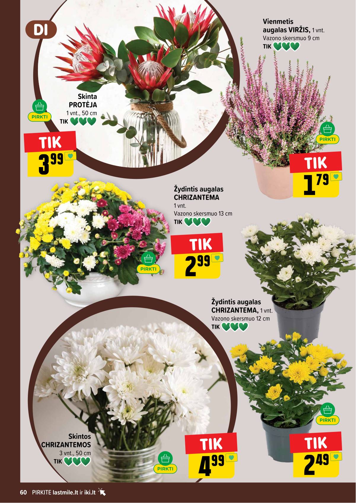Iki - IKI akcijų leidinys 60 puslapis