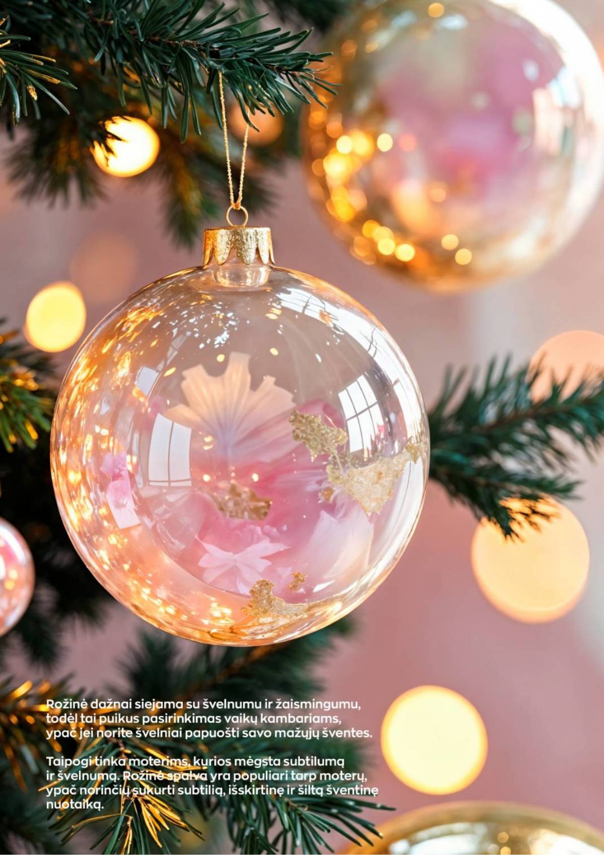 Jupoja - Jupoja kalėdinis akcijų leidinys | 2025-12-01 - 2026-01-05 21 puslapis