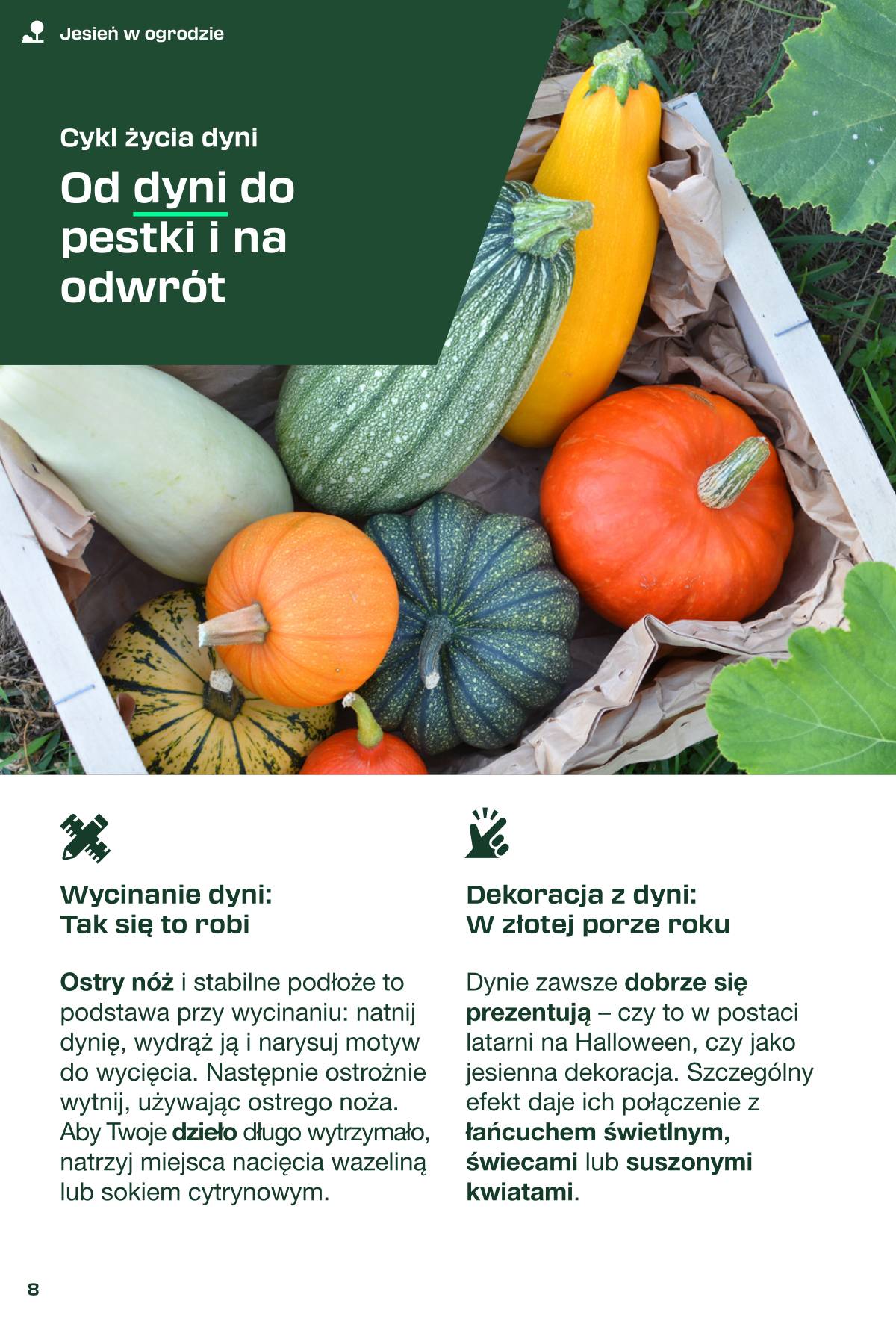 Kaufland - Kaufland 8 puslapis