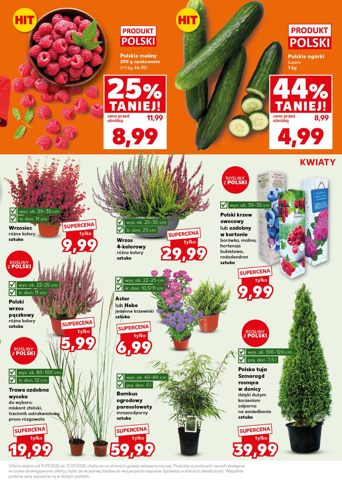 Kaufland - Mocny Start 13 puslapis