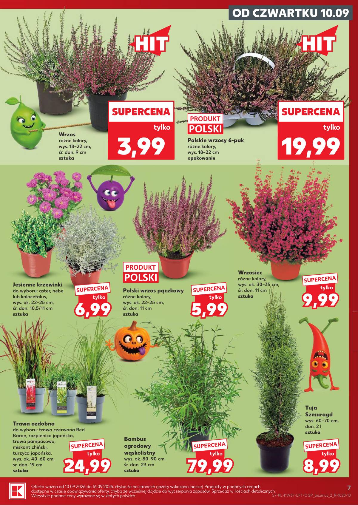 Kaufland - Gazetka tygodnia 7 puslapis