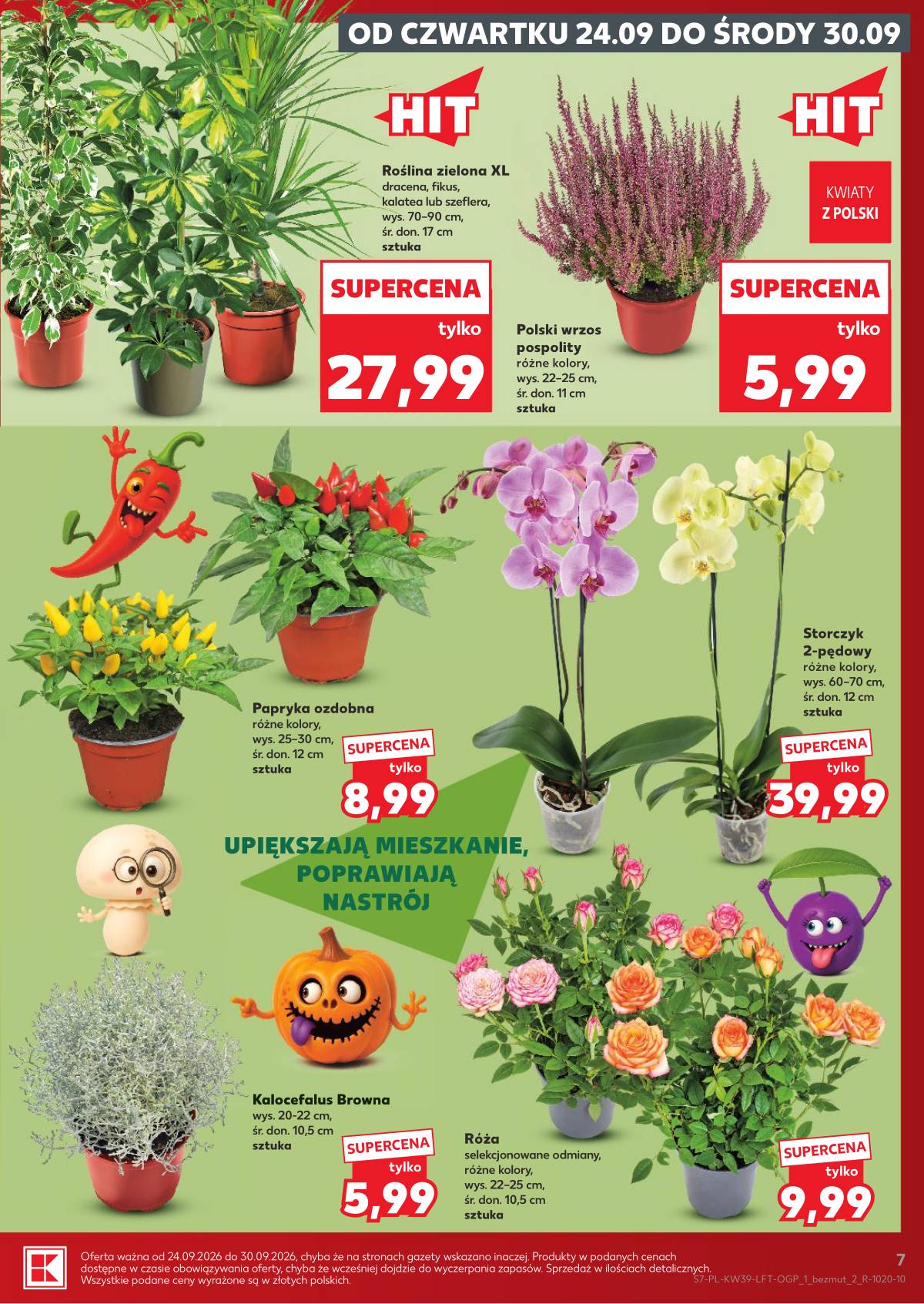 Kaufland - Gazetka tygodnia 7 puslapis