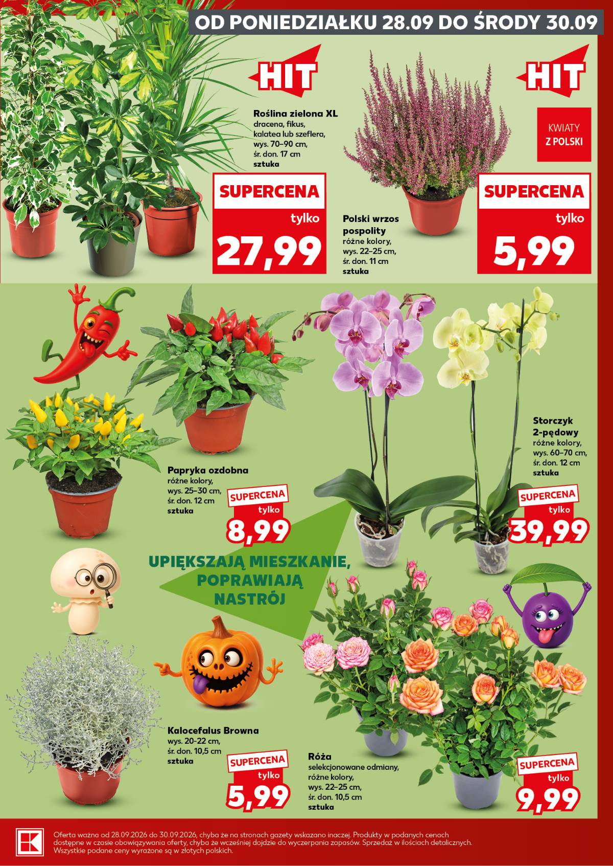 Kaufland - Mocny Start 5 puslapis