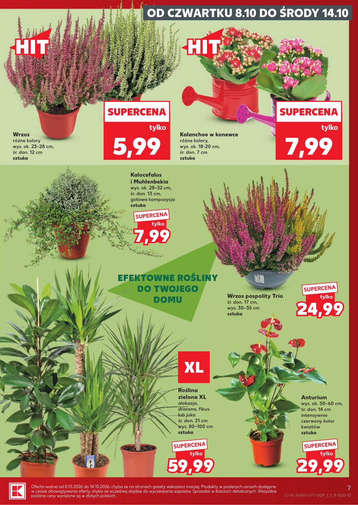 Kaufland - Gazetka tygodnia 7 puslapis