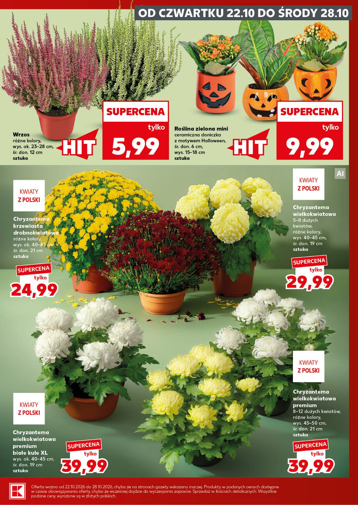 Kaufland - Mocny Start 5 puslapis