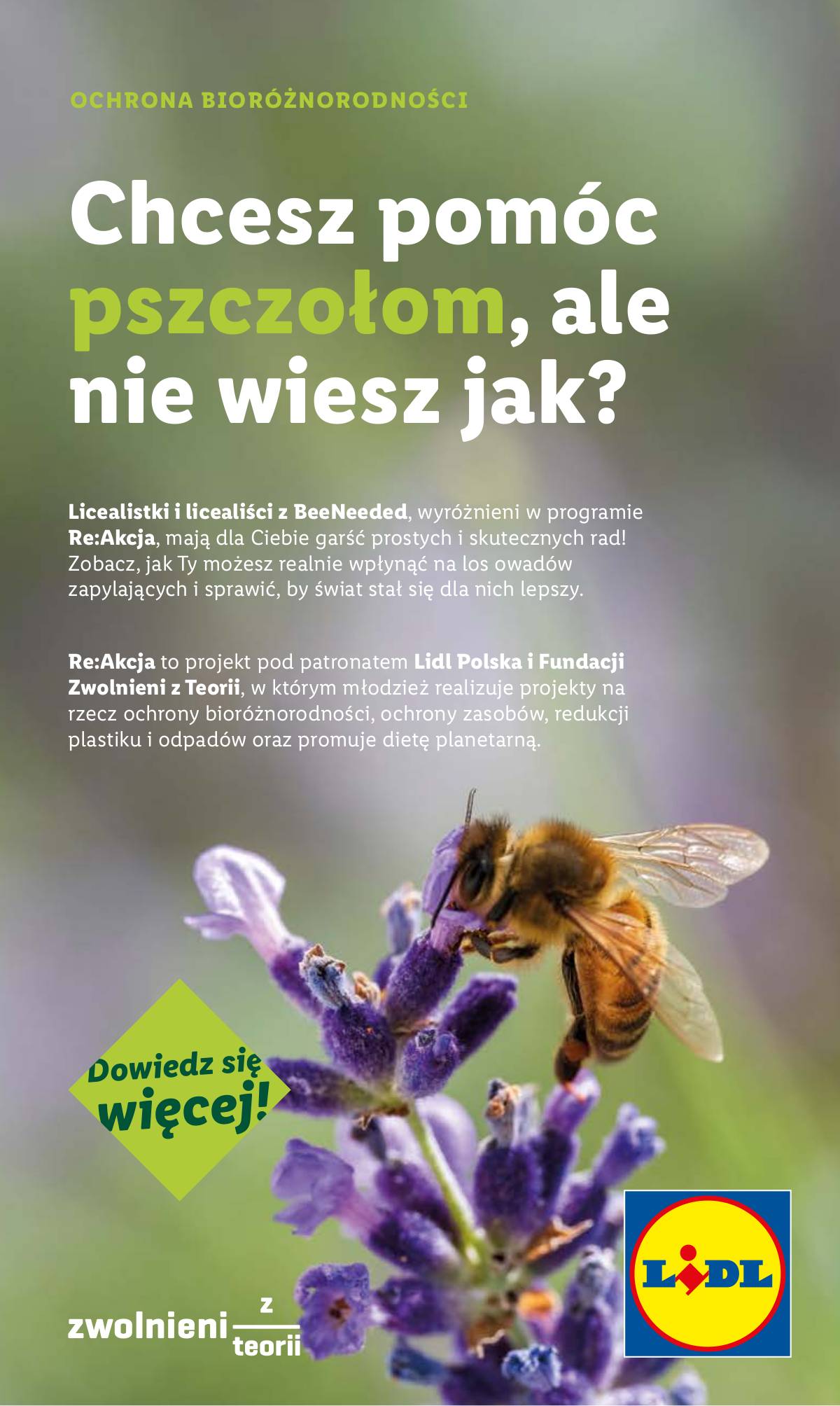 Lidl Lenkija - OFERTA WAŻNA OD 14.07 50 puslapis