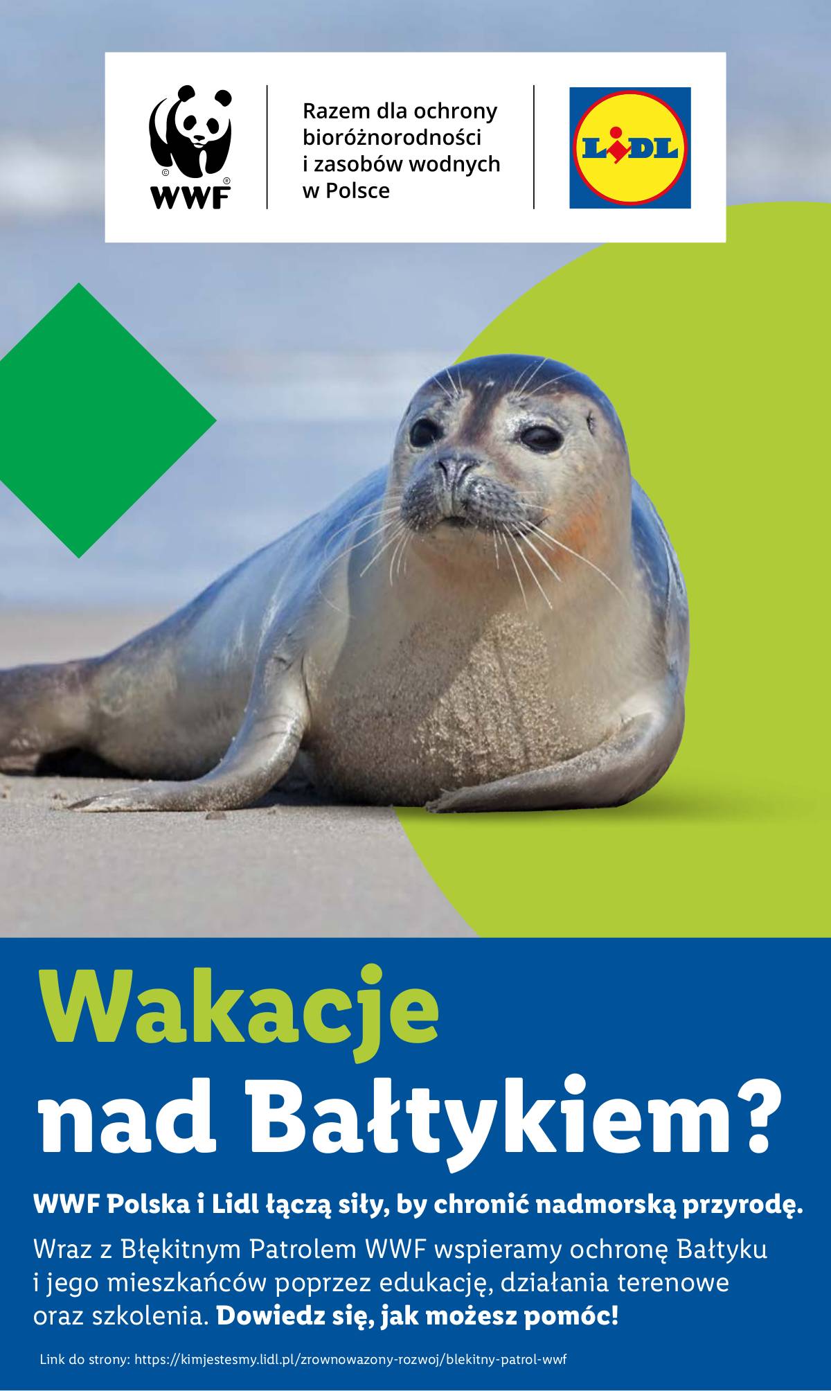 Lidl Lenkija - OFERTA WAŻNA OD 14.07 51 puslapis