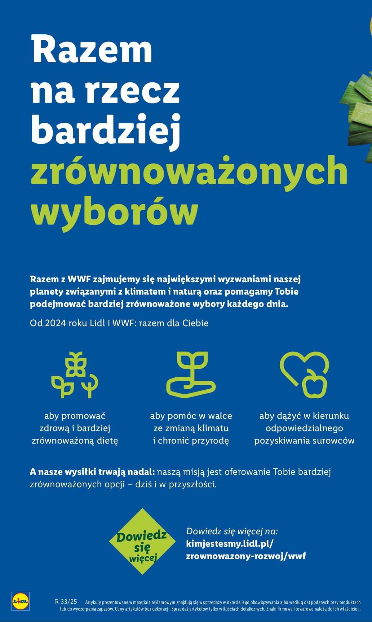 Lidl Lenkija - OFERTA WAŻNA OD 11.08 44 puslapis