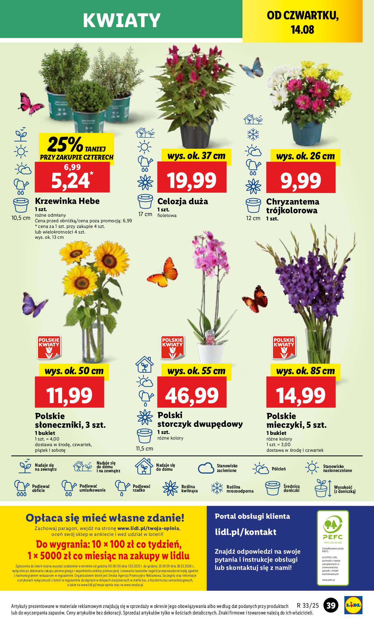 Lidl Lenkija - OFERTA WAŻNA 13.08 DO 16.08 45 puslapis