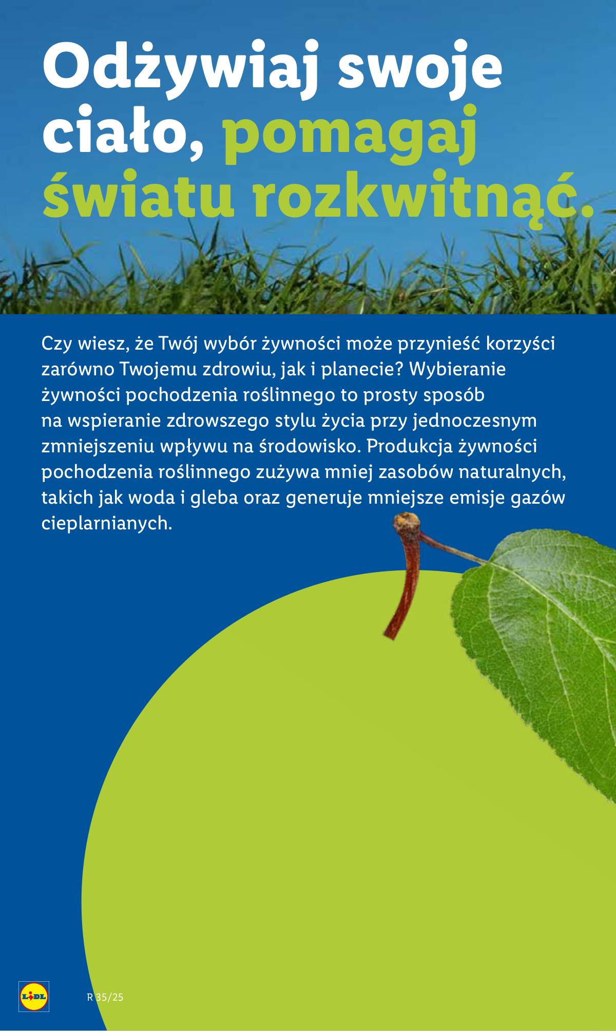 Lidl Lenkija - OFERTA WAŻNA OD 25.08 52 puslapis