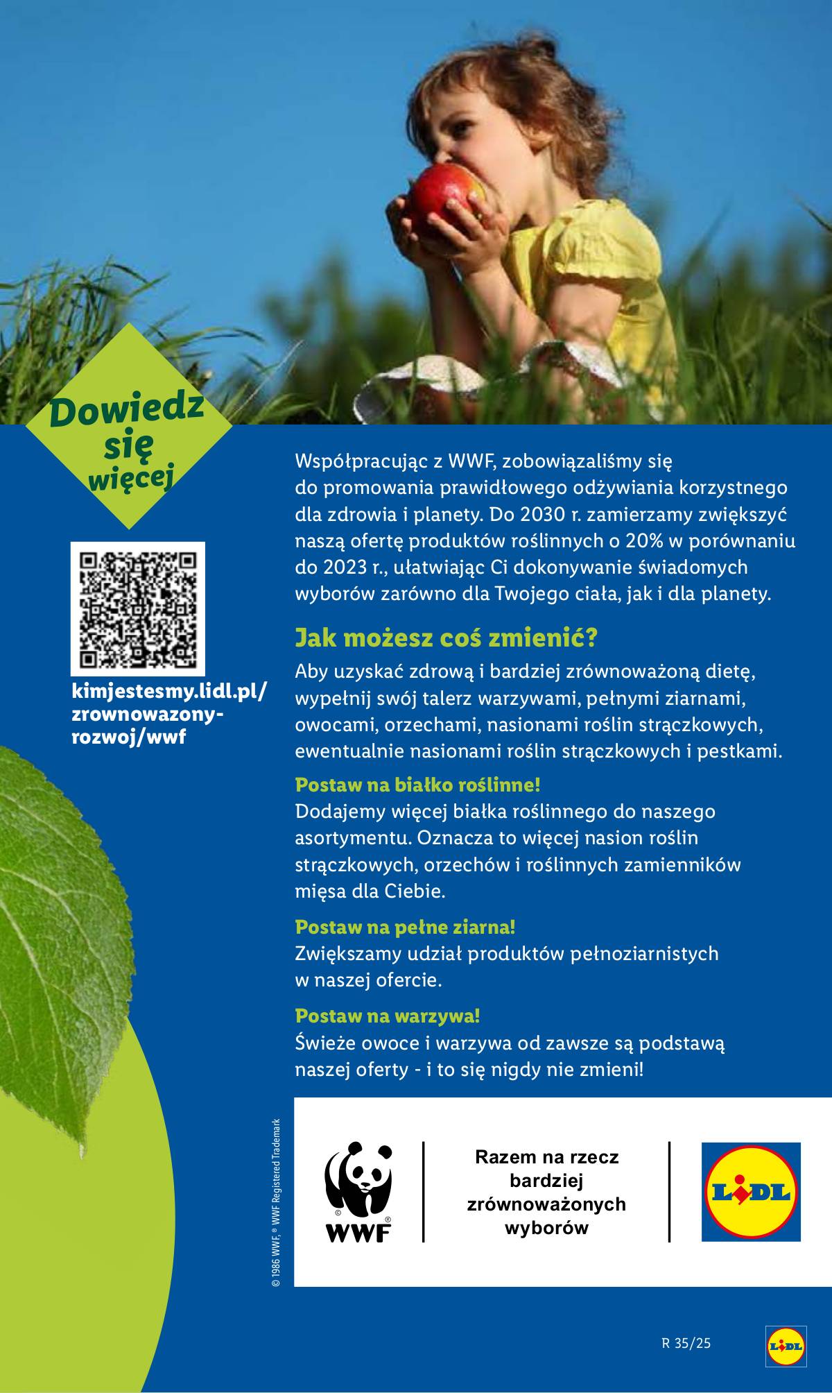 Lidl Lenkija - OFERTA WAŻNA OD 25.08 53 puslapis
