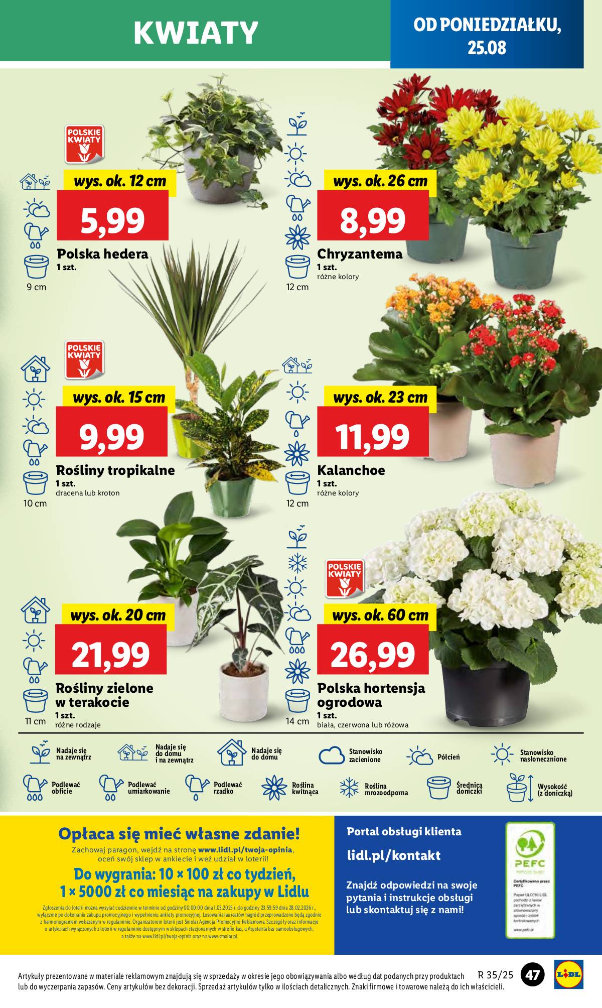 Lidl Lenkija - OFERTA WAŻNA 25.08 DO 27.08 53 puslapis